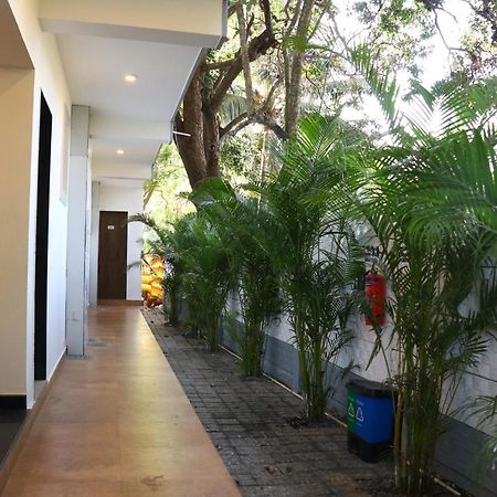 La Vera Boutique Hotel, Mandrem Luaran gambar